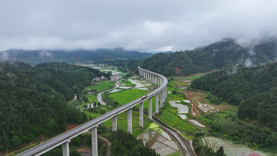 美麗鄉(xiāng)村“稻”路